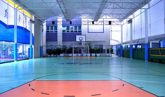 J Piaget fundamental 3.jpg